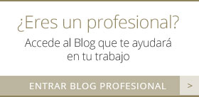 Blog profesional